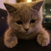 Серафим Шароглазов
